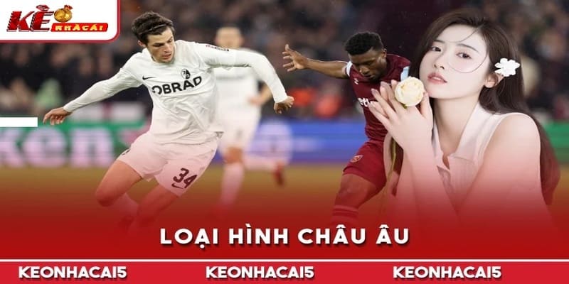 Loại hình châu Âu